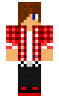 NilaySouci minecraft skin