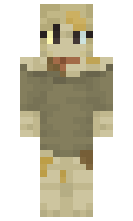 Flapsing minecraft skin