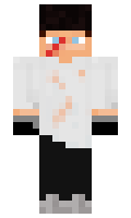 e15d215ee54770 minecraft skin