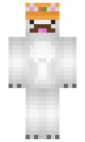 e17cab63c1a1f5 minecraft skin