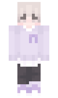 typical minecraft skin