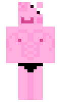 tt13 minecraft skin