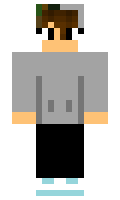 Pesa minecraft skin