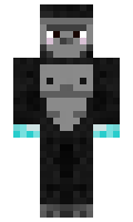 Sorzion minecraft skin
