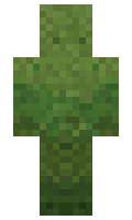 nobest minecraft skin