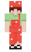 e1bdfc761c79c7 minecraft skin