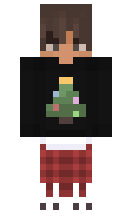 e206d3c94c0804 minecraft skin