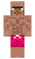 e21b828edcf5d8 minecraft skin