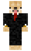 e22889fdf44ac2 minecraft skin