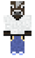 e2419577f31a89 minecraft skin