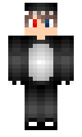 anas minecraft skin