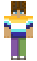 e25aa62bf36667 minecraft skin