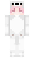 e26152c113970d minecraft skin