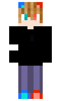 e272577af310a3 minecraft skin