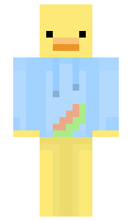 RoyiDvir minecraft skin