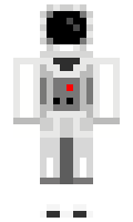 1Gray1 minecraft skin