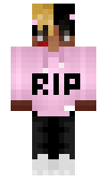 1772 minecraft skin
