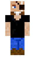 Sebrass minecraft skin