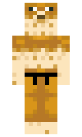 e2ee4dc5c05985 minecraft skin