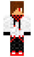 TIM28 minecraft skin