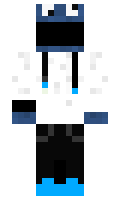 sx9 minecraft skin
