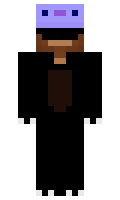 e331fbea3f43ce minecraft skin