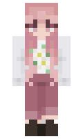 e335db634d1073 minecraft skin