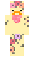e3374bf53fe2dc minecraft skin