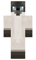 RealSquirtleCat minecraft skin