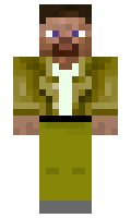 meGome minecraft skin