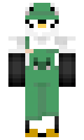 e3496083427497 minecraft skin