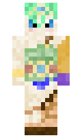 Zeldapawn minecraft skin