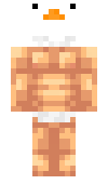 e3517dddd4e231 minecraft skin