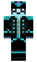 PirateBots minecraft skin