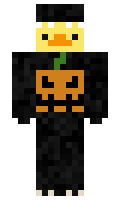 e364981137e9bb minecraft skin