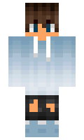 Ninjaratora minecraft skin