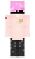 e3dc1294d617e8 minecraft skin