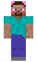275 minecraft skin