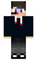 perec minecraft skin