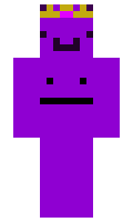 MetallicBook342 minecraft skin