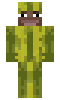 2nic minecraft skin