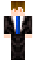 BusNim minecraft skin