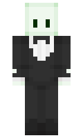 MintzMG minecraft skin