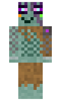 e465b7a218f2cc minecraft skin