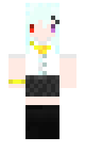 u335335 minecraft skin