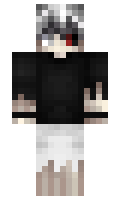 e47b904d258567 minecraft skin