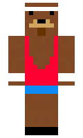 Jorks minecraft skin