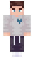 akkizukki minecraft skin