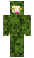 e50555bc8e1481 minecraft skin