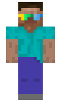 e513aad2ec3fcb minecraft skin